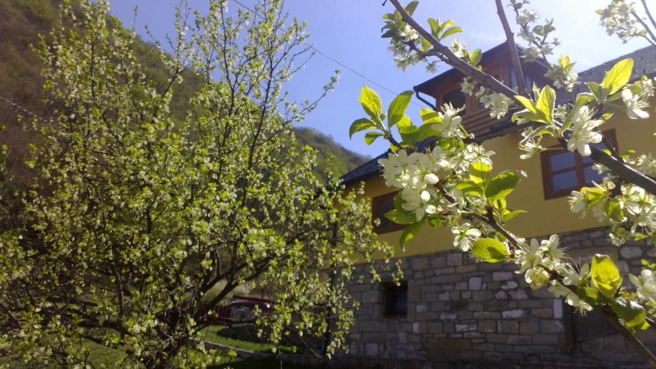 Guest House - Stari Javor B&B Prozor Exterior foto